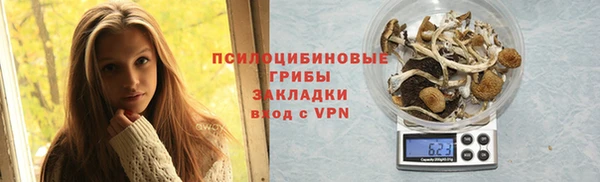 соль ск Алексин