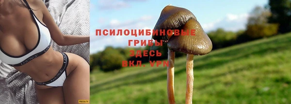 тгк Алексеевка