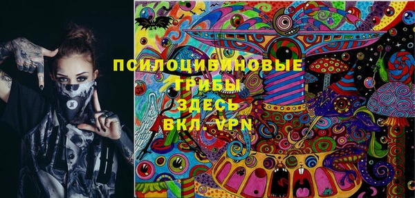 соль ск Алексин