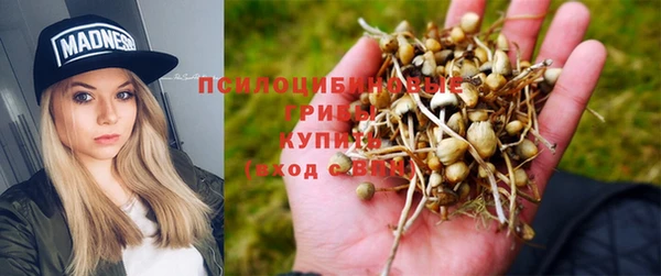 тгк Алексеевка