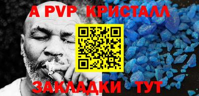кокс Кингисепп