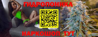 кокс Кингисепп