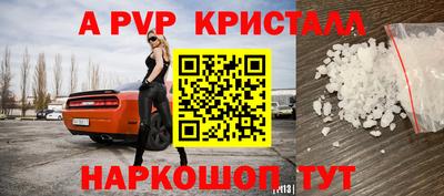 кокс Кингисепп