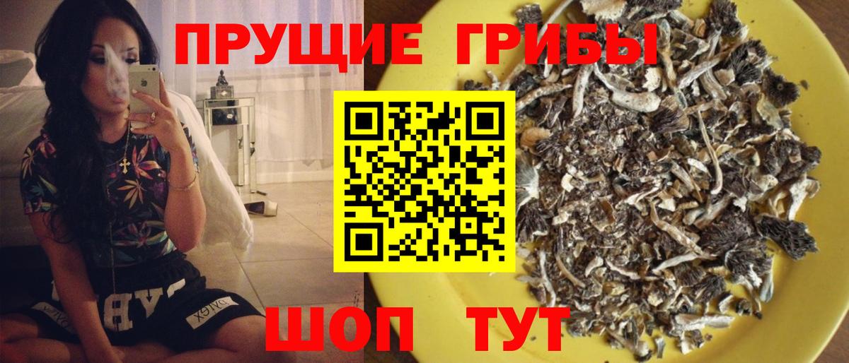 Псилоцибиновые грибы ЛСД  Вход с VPN  Миллерово  Псилоцибиновые грибы GOLDEN TEACHER 